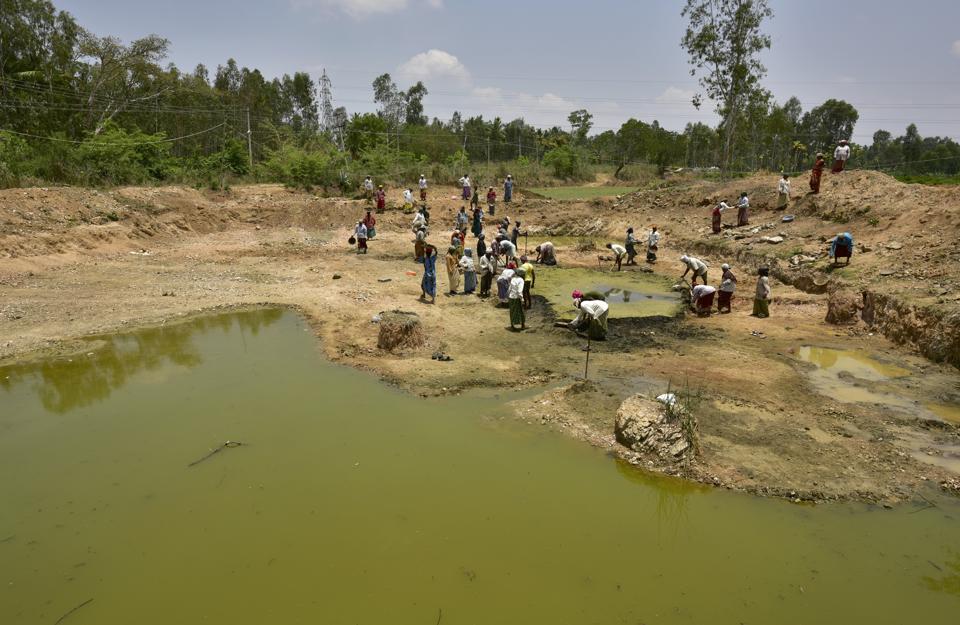 MNREGA workers at a lake rejuvenation project at Mandya, Karnataka.
